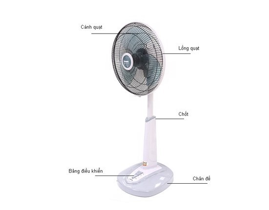 Structure of a missing fan